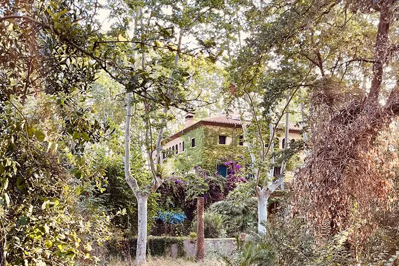 CCdF-Residency-house-in-forest